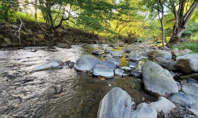 Del Rio Cabin | Reconnect with Nature This Spring at The Spot Hotel