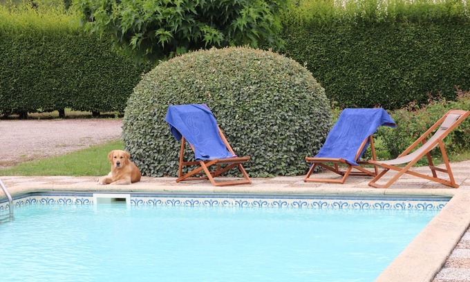Bergerac House | Beautiful Family Home with Pool in Green Oasis Near Everything