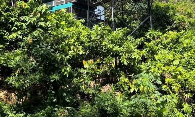 Parrita House | Discover Nature Among 900 Tropical Cacao Trees