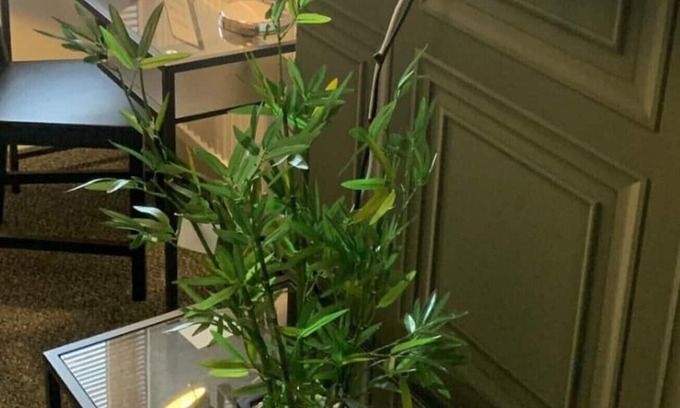 Eastleigh Apartment | Matipa-Rise Apartments