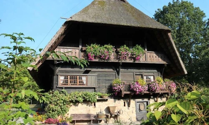 Zell am Harmersbach Apartment | Appealing apartment in Zell am Harmersbach