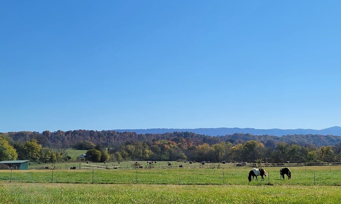 Tennga House | Relaxing TN Riverfront RV Escape with Kayaks & Scenic Views