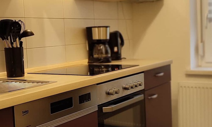 Aschersleben Apartment | Pet-Friendly Ferienwohnung ASL with Spa & Hot Tub