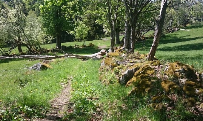 Mitterfirmiansreut House | Modern Retreat at Nesterl: Spa, Breakfast & Family Friendly