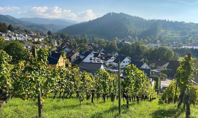 Sulzburg Apartment | Cozy Holiday Apartment with Kitchen & Breakfast Included