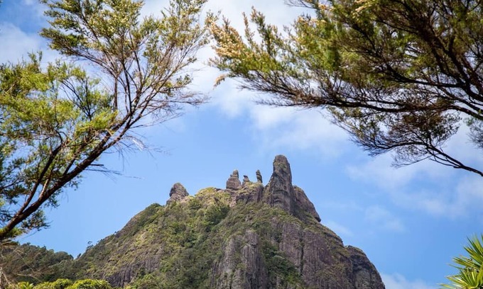 Whangarei Heads House | Pet-Friendly Getaway at The A Frame in Bay View