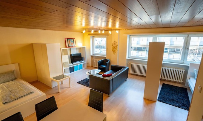 Mitte Apartment | Cozy Apartment for 3 Guests in Ludwigshafen am Rhein