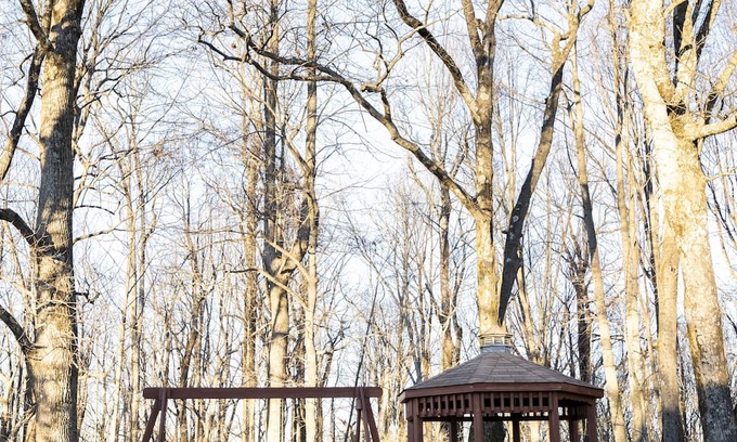 Fancy Gap Cabin | Cozy Orchard Gap Inn: Family-Friendly Retreat Awaits