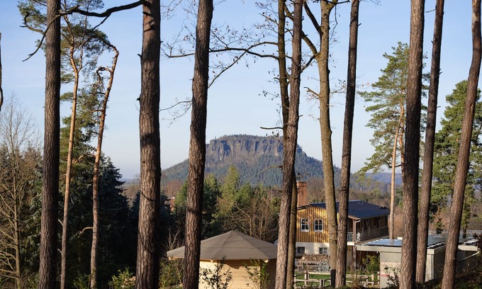Kurort Gohrisch Apartment | Cozy Domizil am Gohrisch: Pet-Friendly 1 Bedroom Retreat