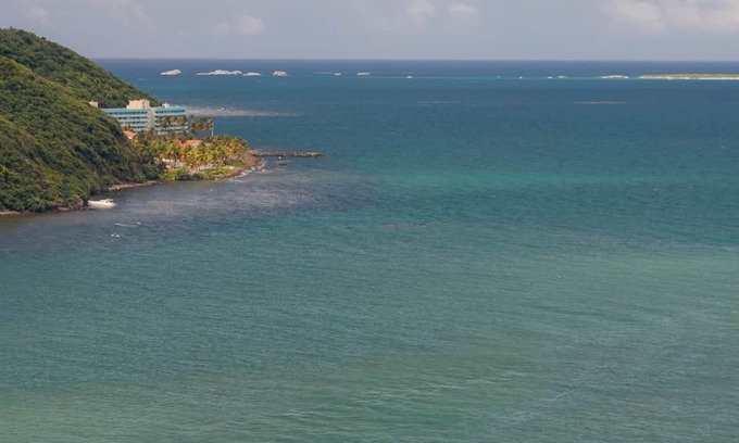 Sardinera Apartment | Cozy Bambü Travelers Nest in Fajardo - Pet Friendly Stay