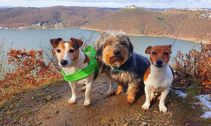 Bad Wildungen Apartment | Cozy Holiday Home with Scenic Mountain Views & Great Amenities