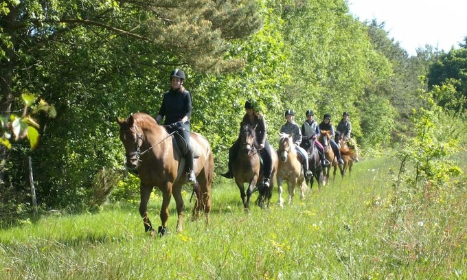 Holtgast Apartment | Family-Friendly Retreat with Ponies Near the North Sea