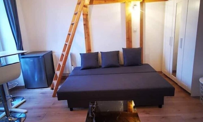 La Demi - Lune Apartment | Studio Hypercentre Tassin - 2
