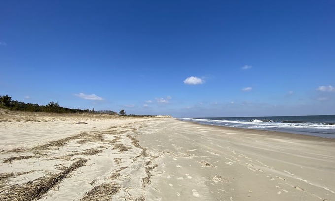 Milford House | Cozy In-Law Suite Near Hospital and Beach - Pet Friendly