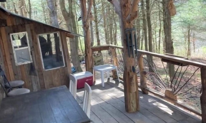 Dundee Cabin | Inviting Off-Grid Cabin: Pet Friendly & Guest Rated 10/10