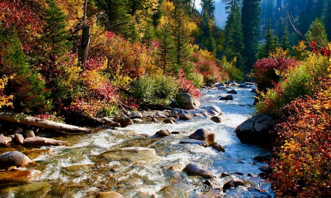 McCall House | Serene River View Retreat on the Payette River