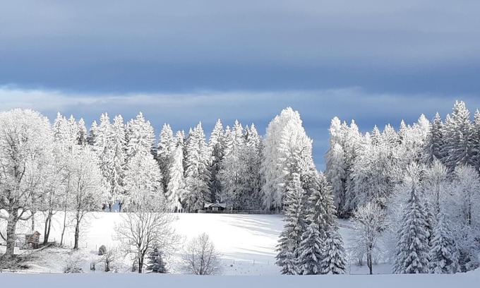 Waldenstein House | Holiday house Twimberg for 1 - 6 persons - Holiday home