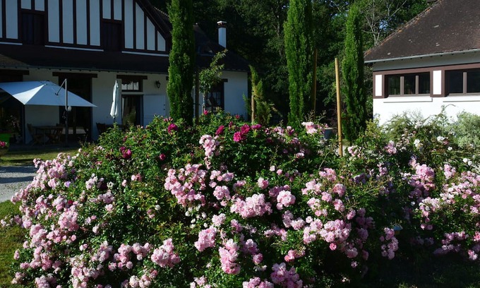 Ligny-le-Ribault Bed & Breakfast | Cozy Studio Flat in Ligny-le-Ribault for Two Guests