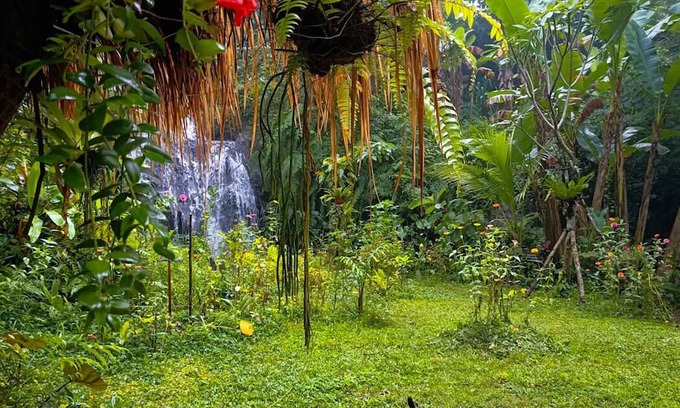 Payangan House | Discover Das Dschungel: Private Waterfall & Spa Retreat