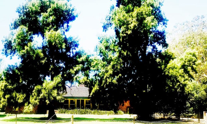 Tocumwal Other | Idyllic, farming property, hidden amongst towering gumtrees and golden pastures.
