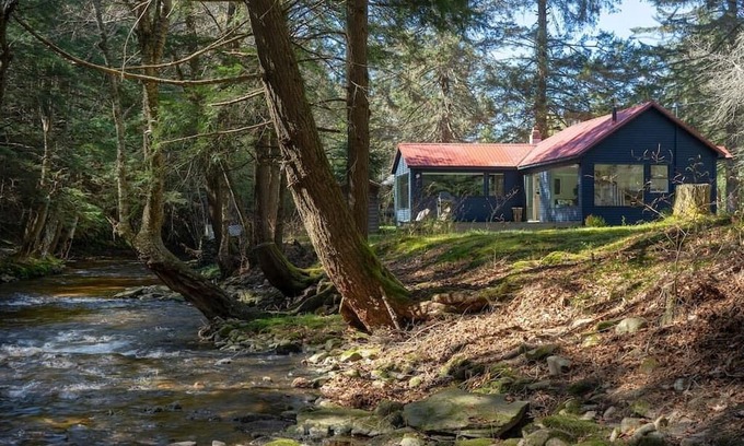 Debruce Cabin | Creekside Cottage Near Livingston Manor