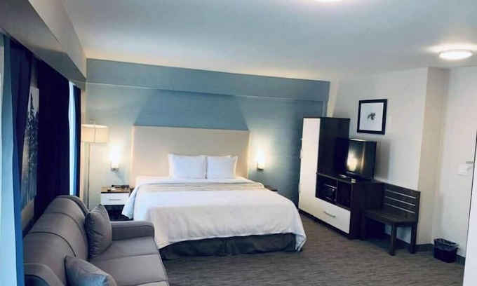 Northeast Mississauga Apartment | Hotel Chandni Victoria - King Room Disability Access