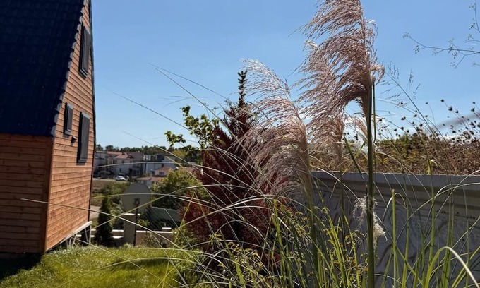Sinop House | MERKEZDE DOGAYLA İÇ İÇE DENİZE 100 METRE MESAFEDE BUNGALOV.