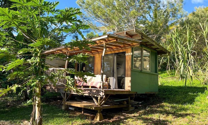 Kealakekua Cabin | Cute Cabin for Two Surrounded by Nature for a Peaceful Getaway in Kealakekua, Hawaii
