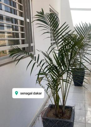 Pointe des Almadies Villa | Villa Ma Khady