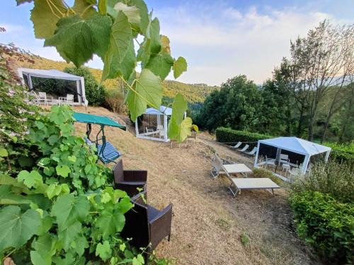 Partina Apartment | Agriturismo Casentino