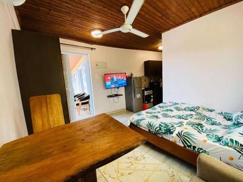 Mbezi Beach Apartment | TiksVillas