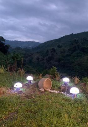 Manizales Hotel | Cozy AZAHARES HOTEL Y CAFÉ: Pet-Friendly with Breakfast
