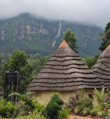 Eastern Region Hotel | Discover Cwmbale Eco-Safari Lodges & Family-Friendly Dining