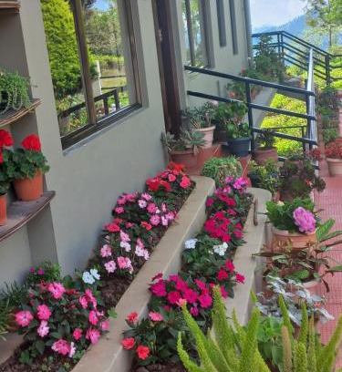 Coonoor House | Explore Rinkoos Mountains & Mist: Family-Friendly Getaway