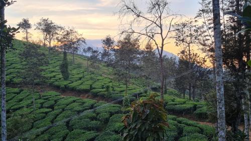 Vayittiri Villa | Family-Friendly Getaway at Destinesia Ville 02