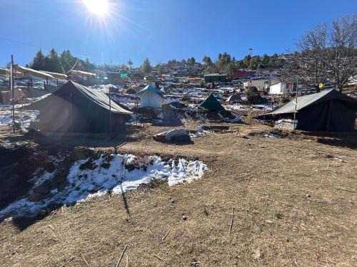 Auli Other | Affordable Budget Camp: Pet Friendly & Family Ready
