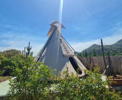 Witelsbos Other | Family-Friendly Teepees at Tsitsikamma Wolf Sanctuary