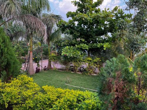 Nashik House | Charming Champa: A Family-Friendly Farmstay Experience