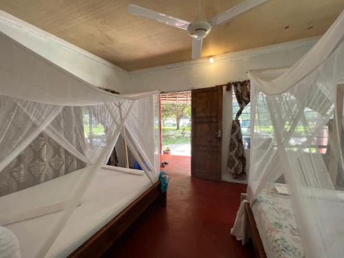 Mafia Island Bed & Breakfast | Explore the Mafia Whale Shark Safari at Afro Beach