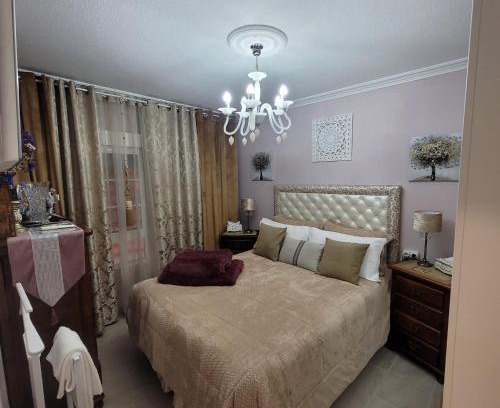 Distrito Sur House | Budget-Friendly Room Overlooking Beautiful Garden Views