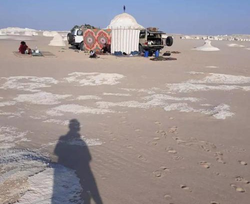 Bawati Other | Desert Oasis Camp: Pet-Friendly Retreat with Ocean Views