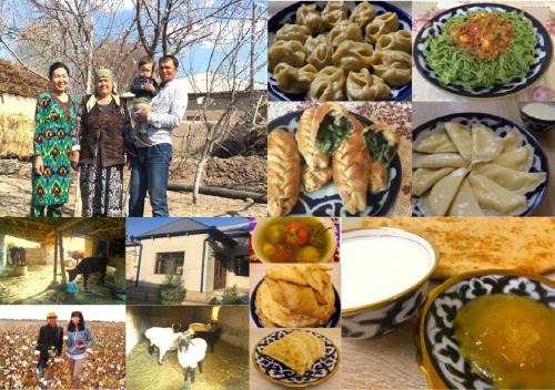 Xorazm Province House | Experience Cultural Wonders at Chogilma in Uzbekistan