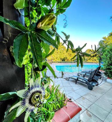 Barbaste House | Idyllic Retreat at L'or et des Landes with Pool & Views
