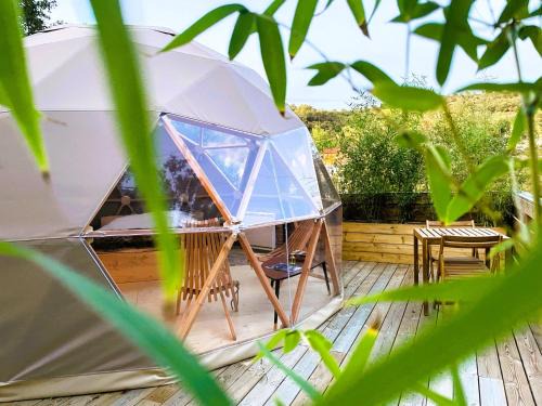Rocbaron Other | Experience Dôme Sirius - A Starry Getaway in Provence