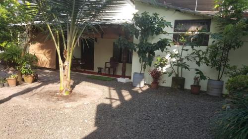 Sea View Ward House | Cozy George Brooks Homestay: Pet & Child Friendly Retreat