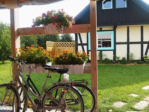 Ustka Resort | Family-Friendly Retreat at Domki w Wytownie k. Ustki