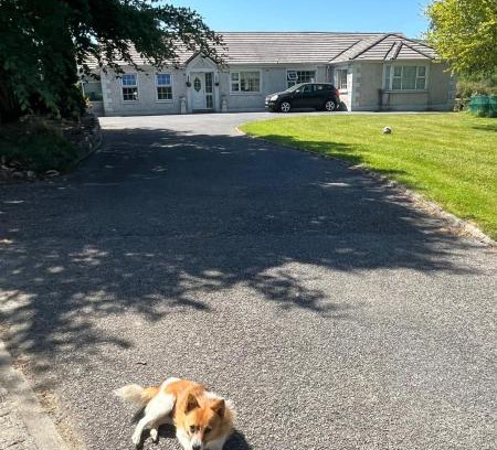 Kilgreaney House | Family-Friendly Graiguenamanagh Homestay with Great Reviews