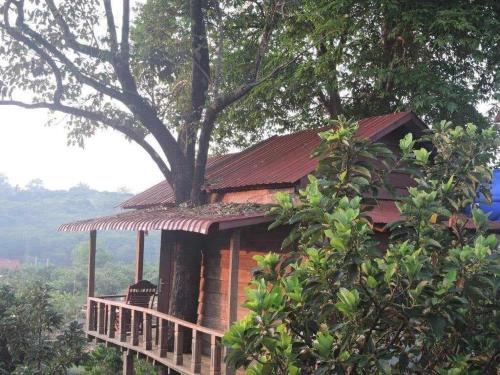 Ban Lung Bed & Breakfast | Inviting Coffee Tanam Leisure Lodge & Tours for Family Getaways
