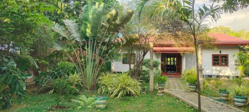 Kimbissa House | Pet-Friendly Comfort at Peacock House with Breakfast Included