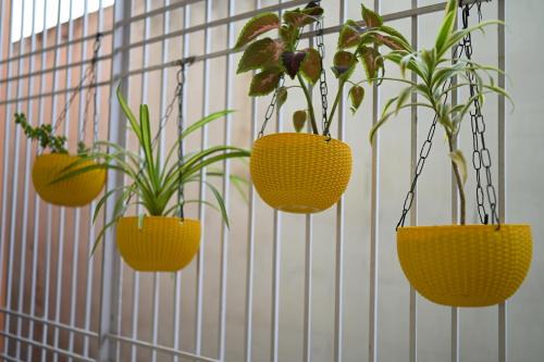 Mahmoorganj Apartment | Discover Kashi Gateway: Family-Friendly & Wheelchair Accessible